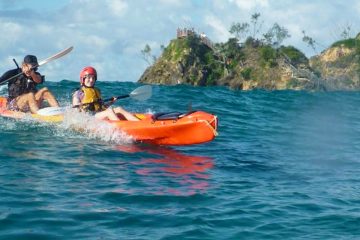 sea kayak byron bay cape byron kayaks dolphin australia backpacker