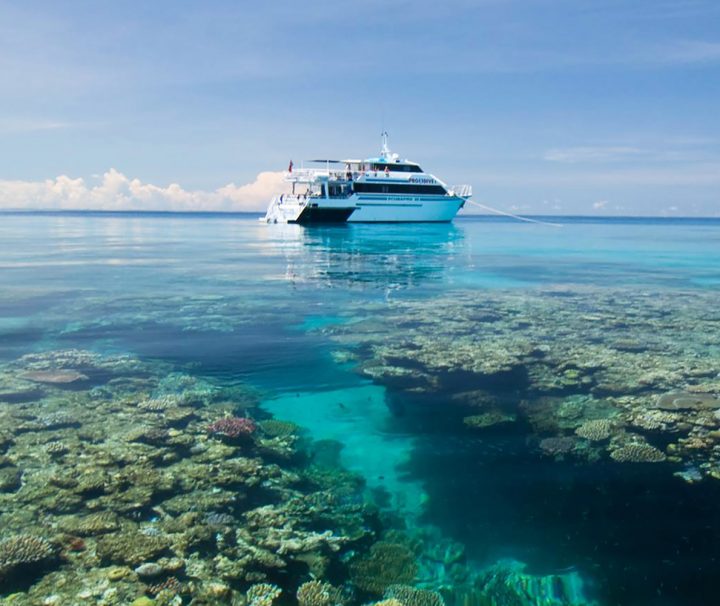 pro dive cairns 2 night great barrier reef dive trip overnight liveaboard